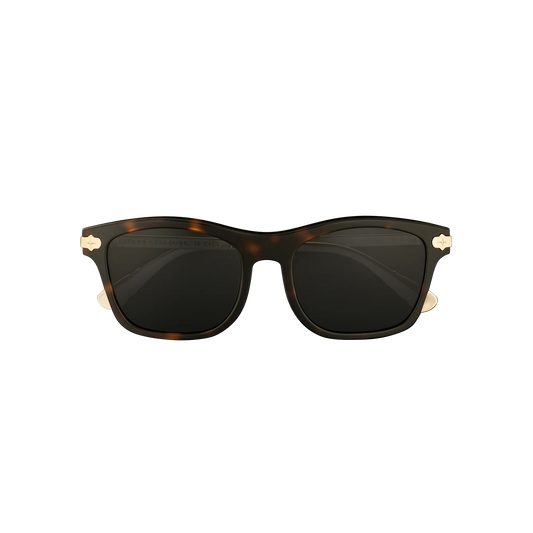 Clocks + Colours Cruiser Sunglasses in polished tortoise color