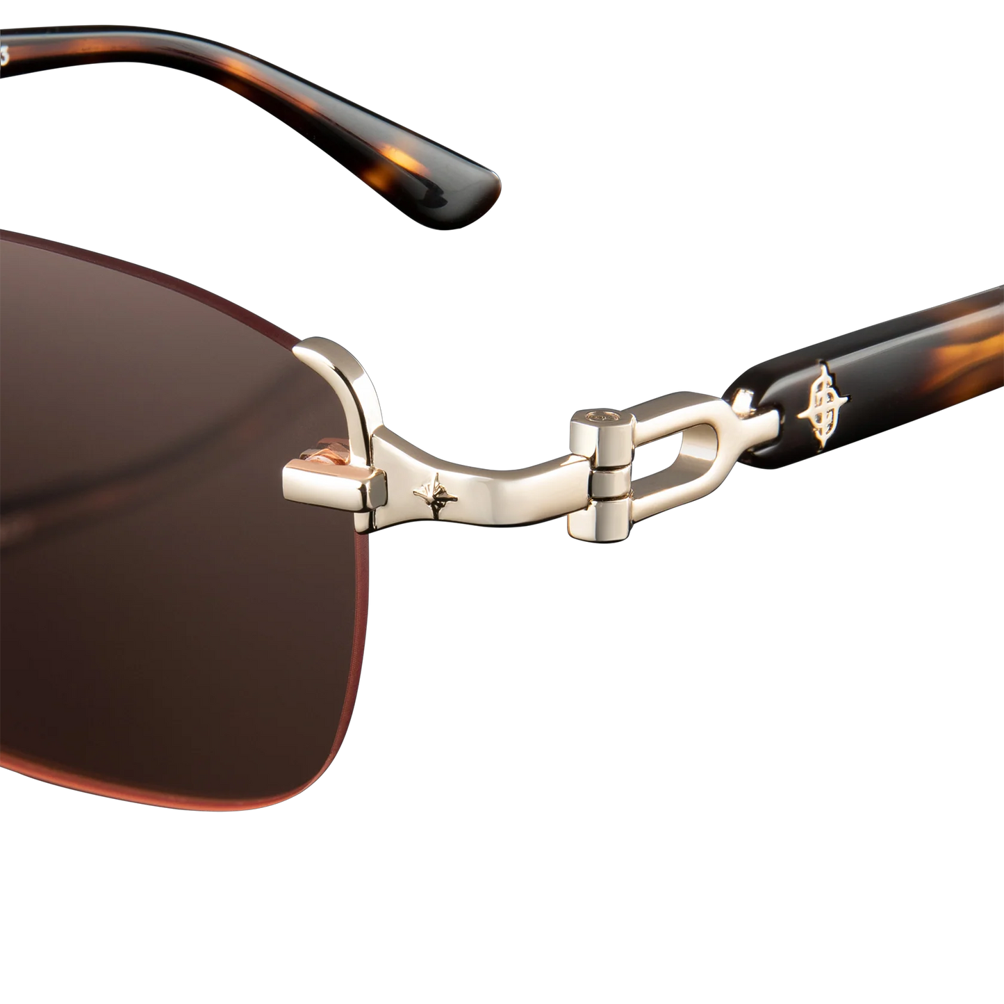 C+C Avenue Glasses X Tortoise